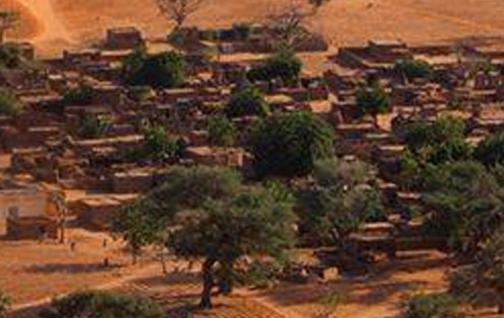 Hallazgo de millones de árboles en el desierto del Sahara – SAOT